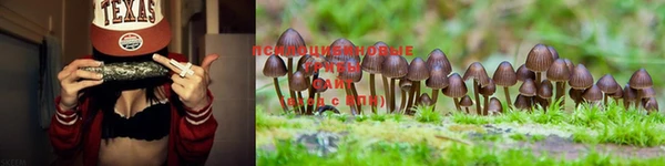 круглые Алзамай