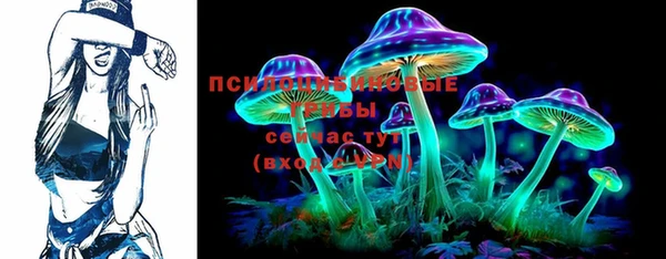 круглые Алзамай