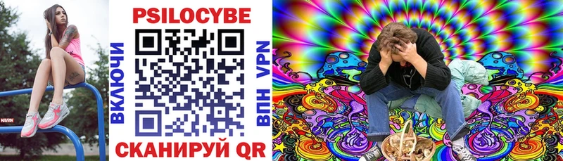 дарнет шоп Гурьевск mega зеркало Галлюциногенные грибы Magic Shrooms