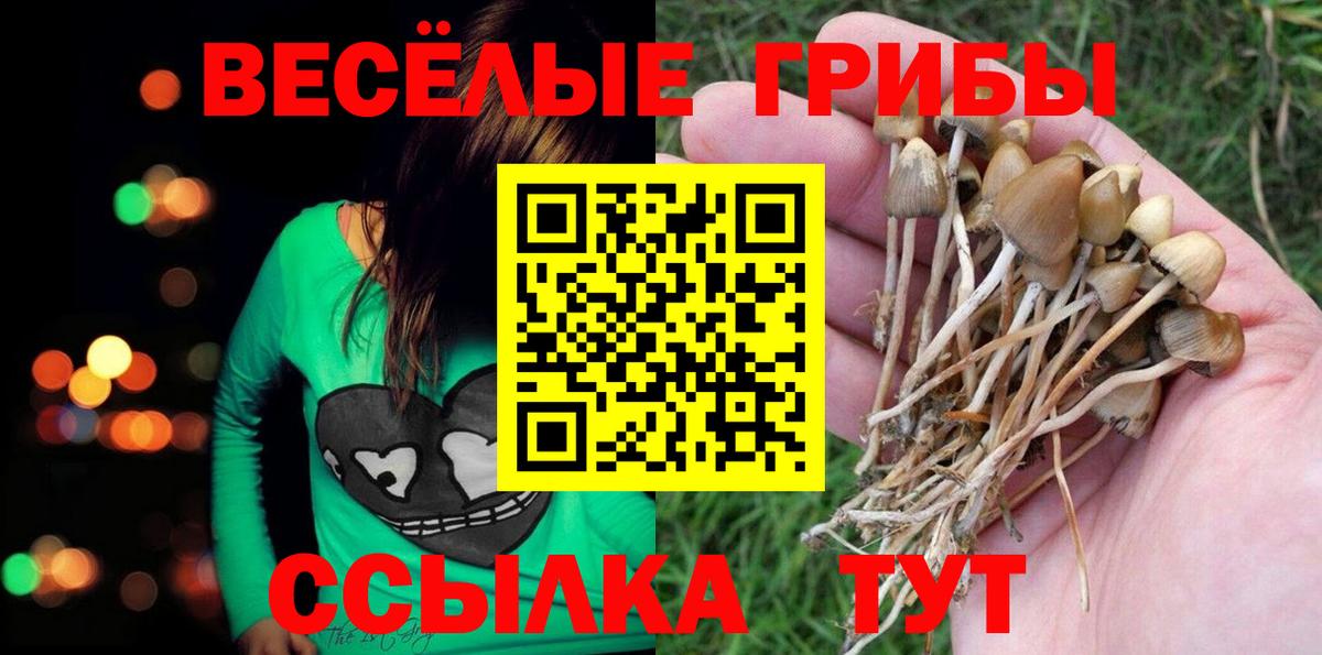 Галлюциногенные грибы MAGIC MUSHROOMS Гурьевск