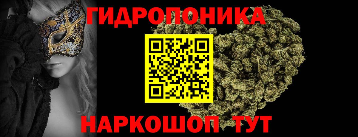 Бошки марихуана OG Kush Гурьевск
